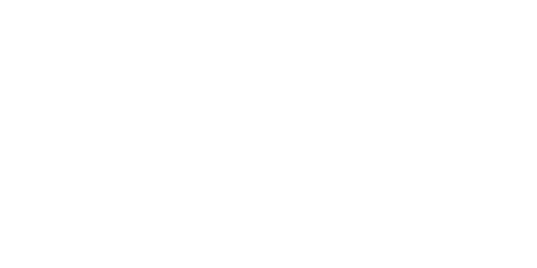 Logomarca Projeto Conexões